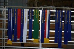 Prize Ribbons